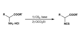 9. Isothiocyanates